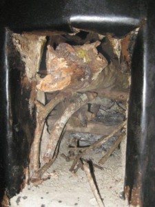 Bild 3: Brennholz zum Anfeuern.